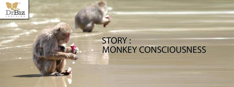 Monkey Consciousness